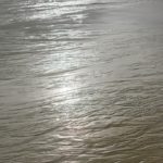 DSC_0051 (683x1024)