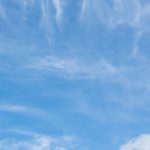DSC_0067 (683x1024)