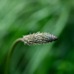 DSC_0162 (1024x683)_edited