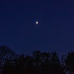 06 - Corinne BOISEAU 