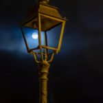 17 - Gwendoline LE GAC 